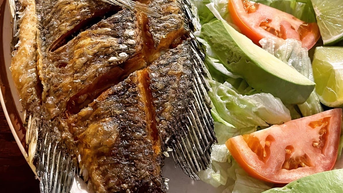 Tilapia / Mojarra.
