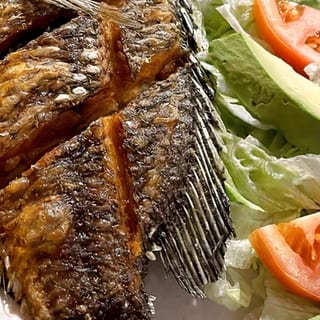 Tilapia / Mojarra